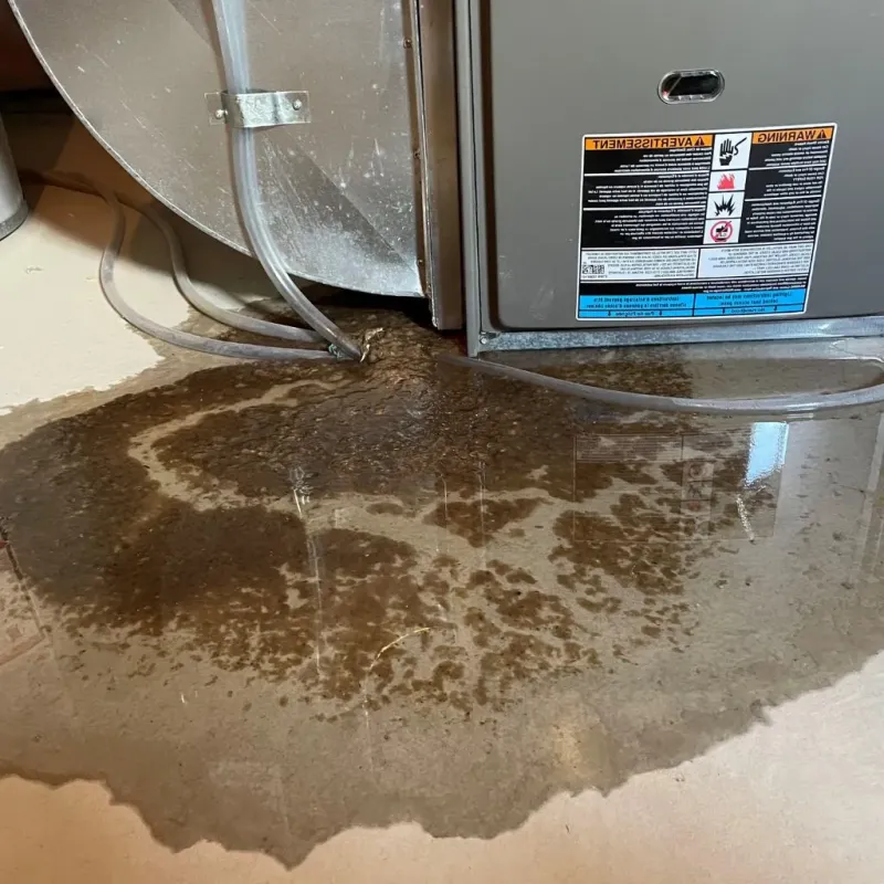 Pipe Burst and Leak Restoration in East Millcreek, UT